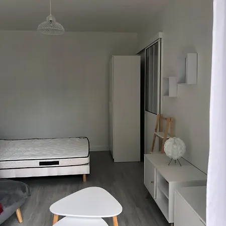 Apartment Avec Balcon, Proche Chu, Chateau, Tramway *