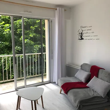 Appartement Avec Balcon, Proche Chu, Chateau, Tramway Angers