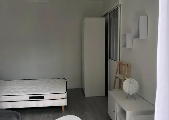 Apartment Avec Balcon, Proche Chu, Chateau, Tramway *