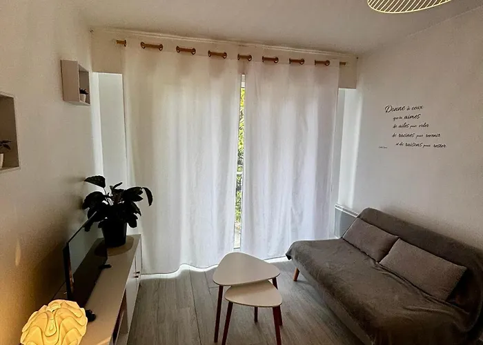 Avec Balcon, Proche Chu, Chateau, Tramway Apartmán Angers